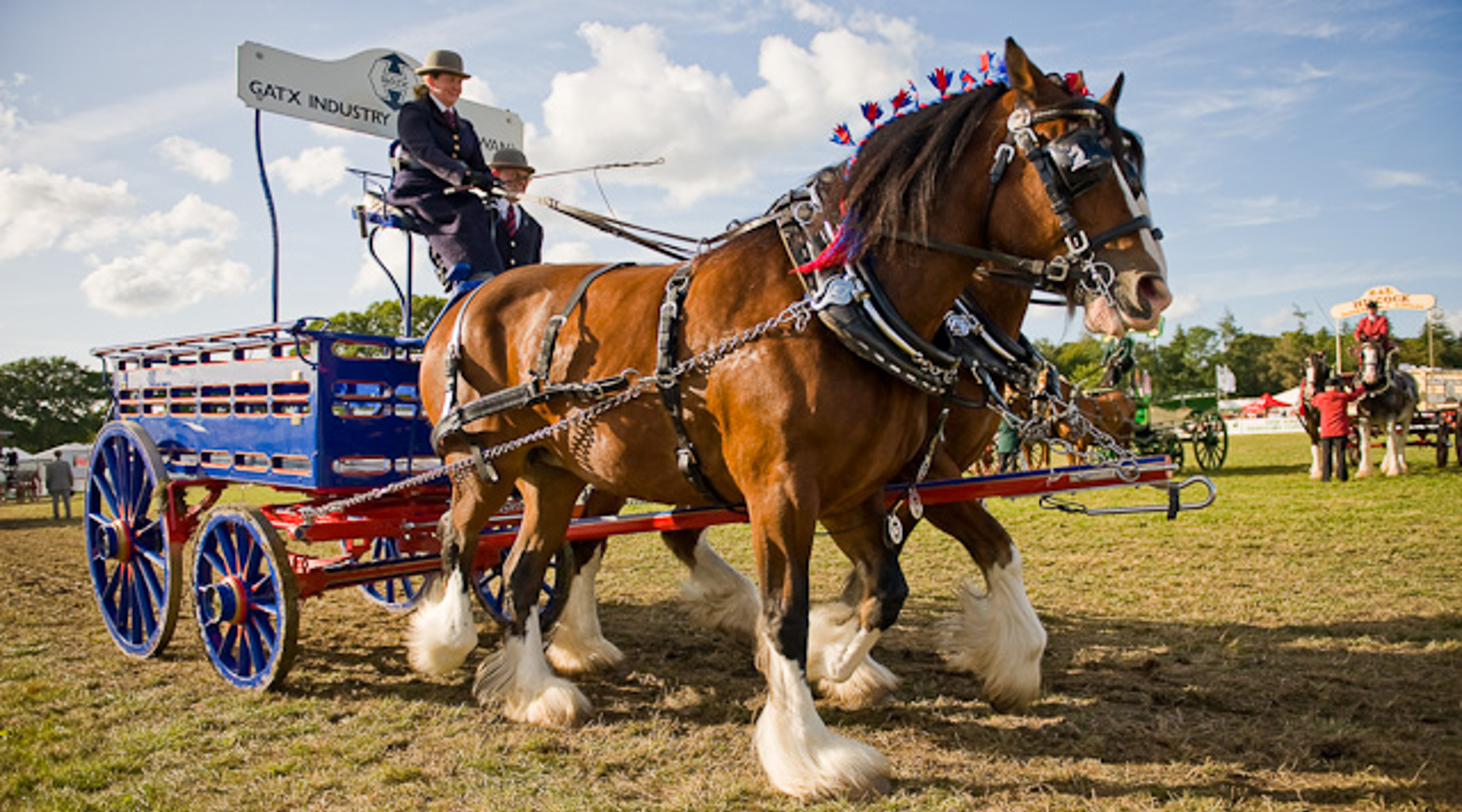 New Forest and Hampshire County Show