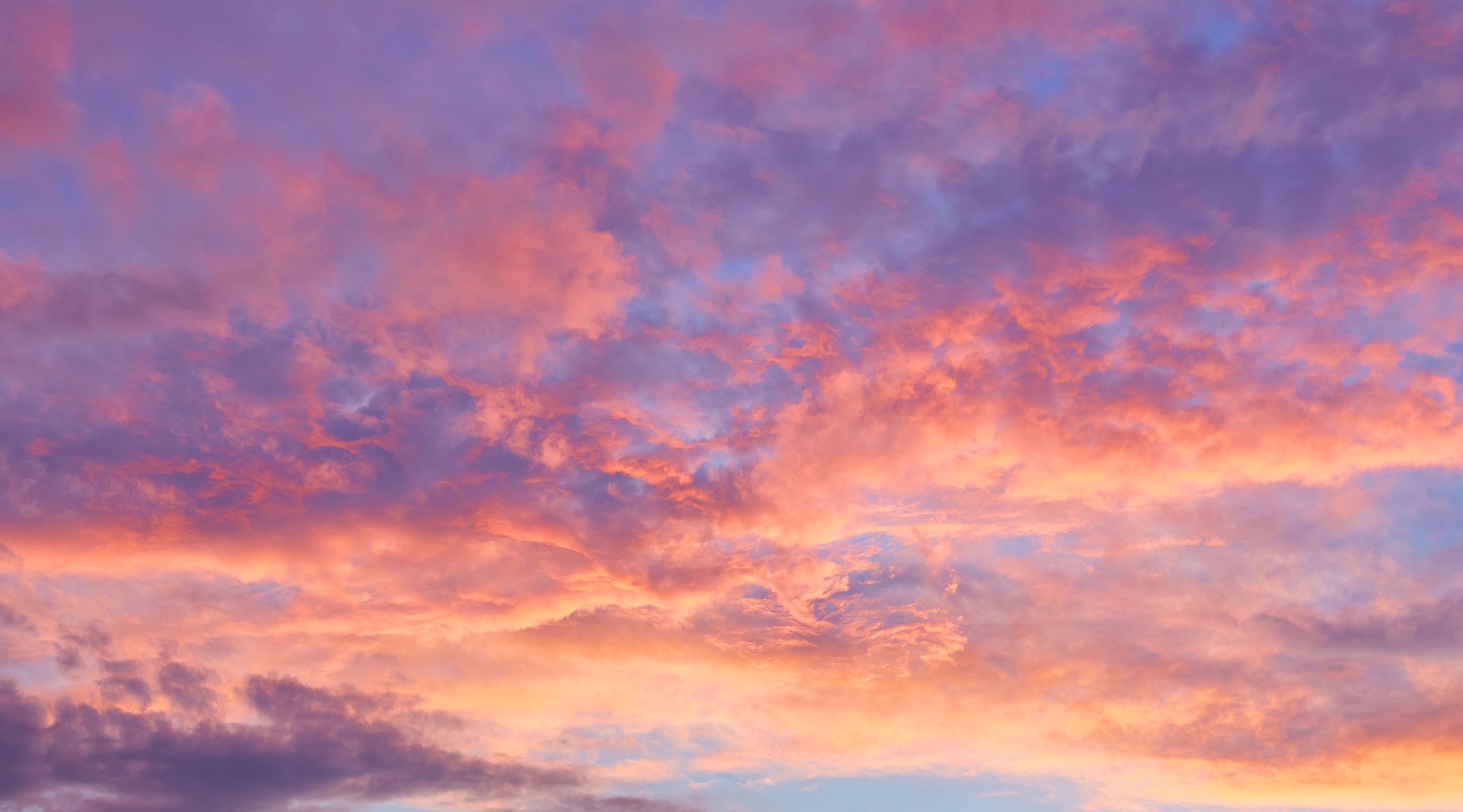 Nicola's Story: Realising a Dream