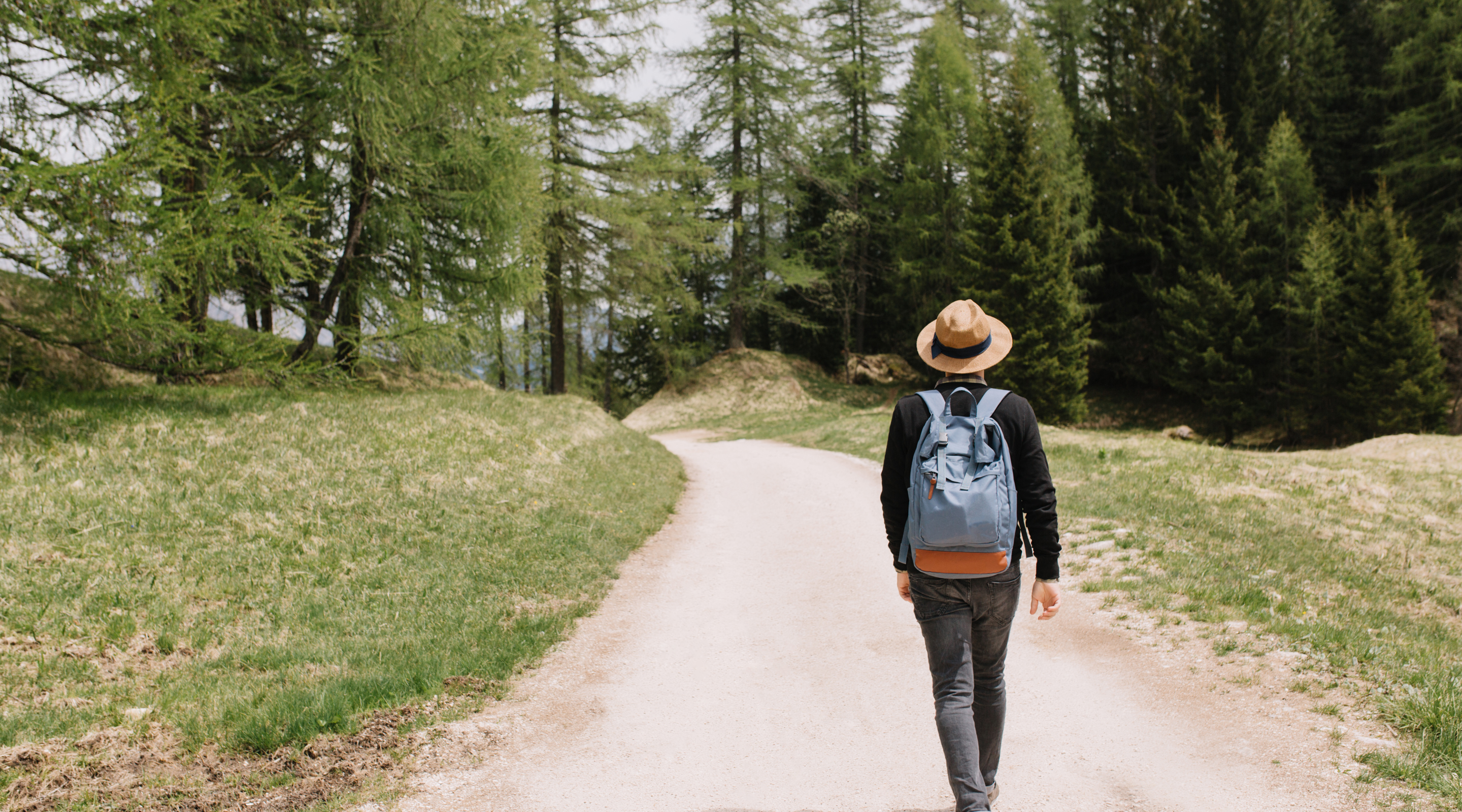 Queen Elizabeth Country Park Hiking Trail, 21.6km