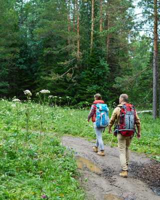Hiking Forest 2