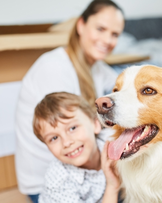 Can I Foster If I Have Pets