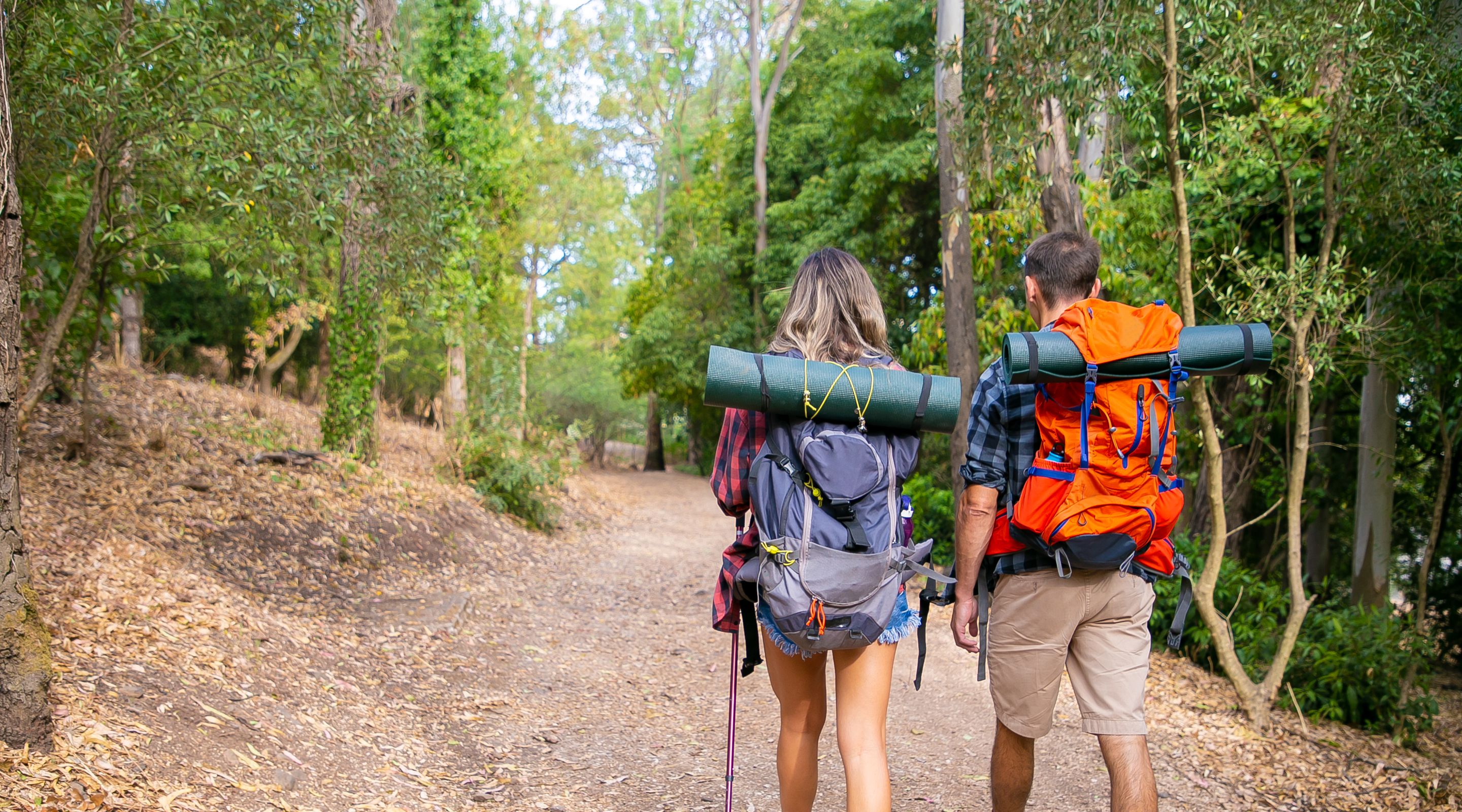 New Forest Hiking Trail, 17km