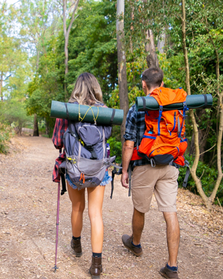 Hiking In Forest