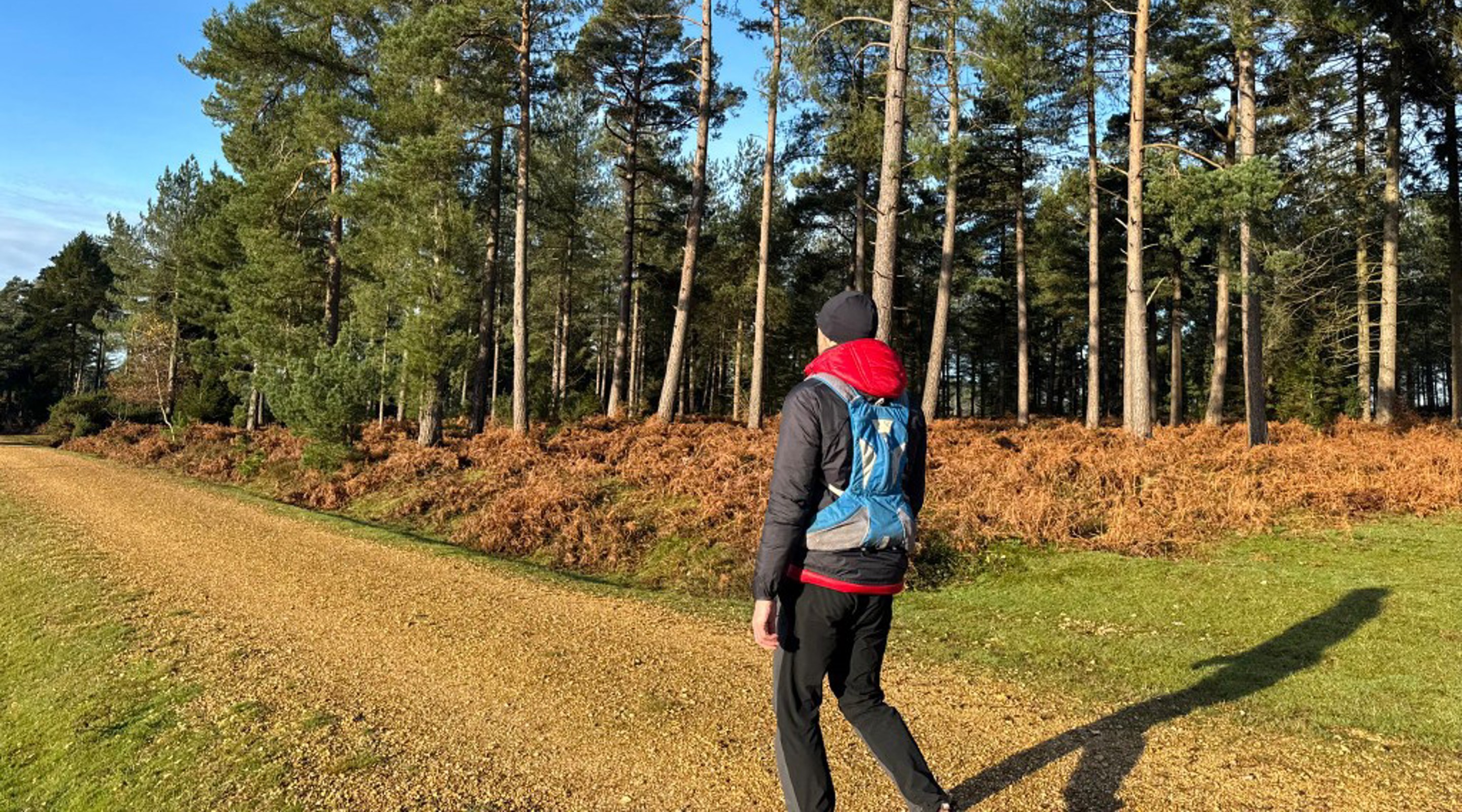 New Forest Hinton Admiral Hiking Trail, 15.1km