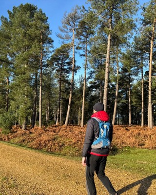 Forest Walk 2